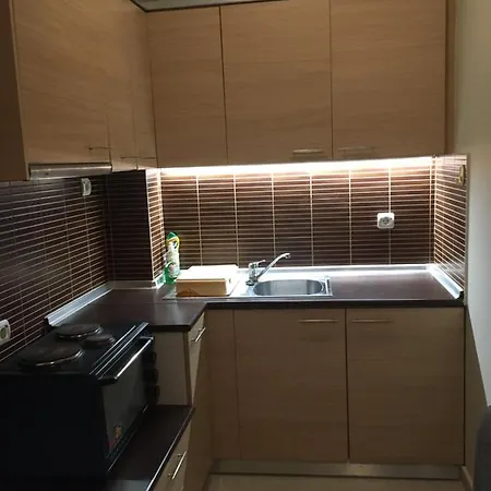 Apartment Gm Néoi Epivátai Extérieur photo